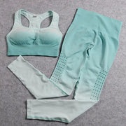Women's Seamless Yoga Set - 2-Piece Workout Outfit